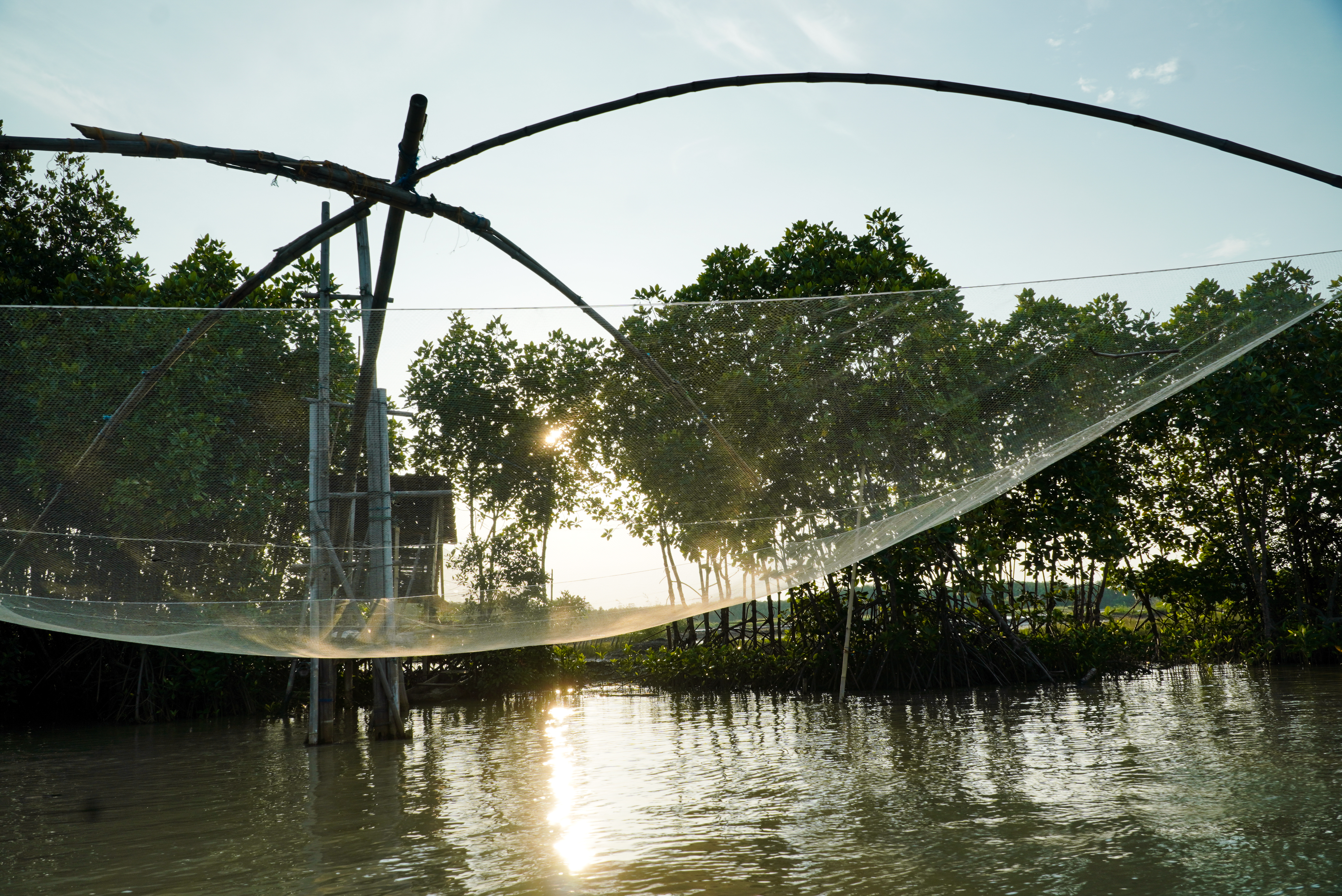 Sustainable fishing in mangrove forest in Indonesia