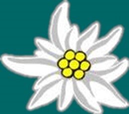 Edelweiss logo