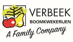 verbeek logo