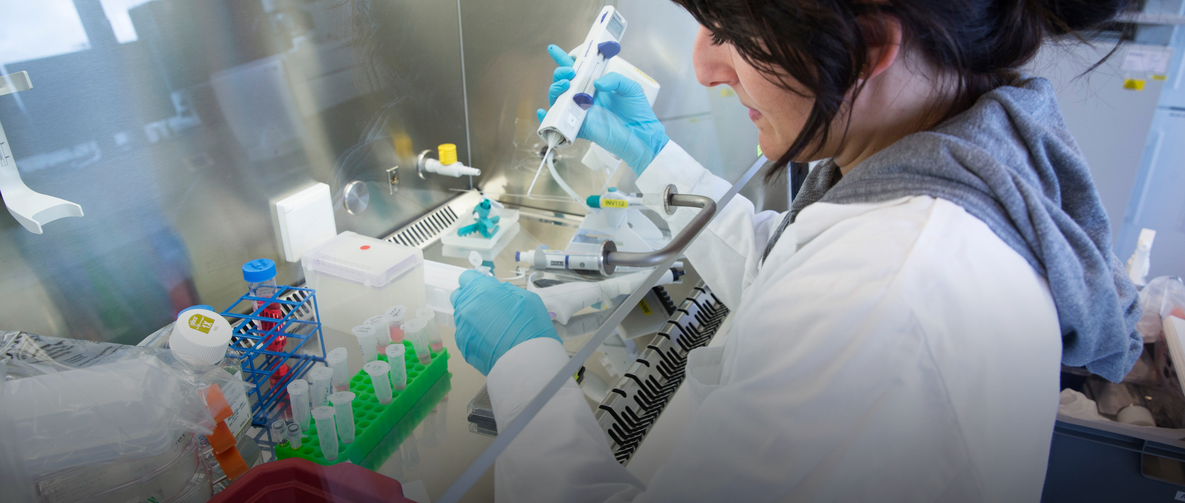 Person working under flow hood in lab