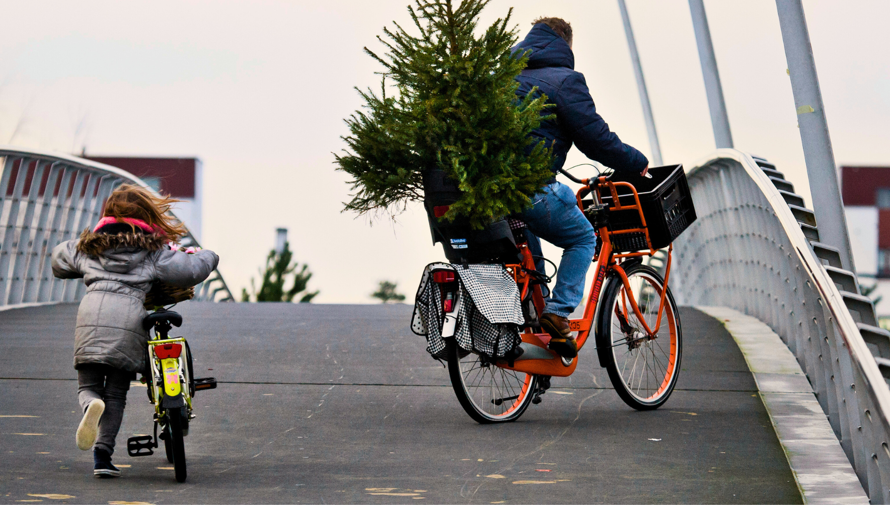 Man biking with christmas tree