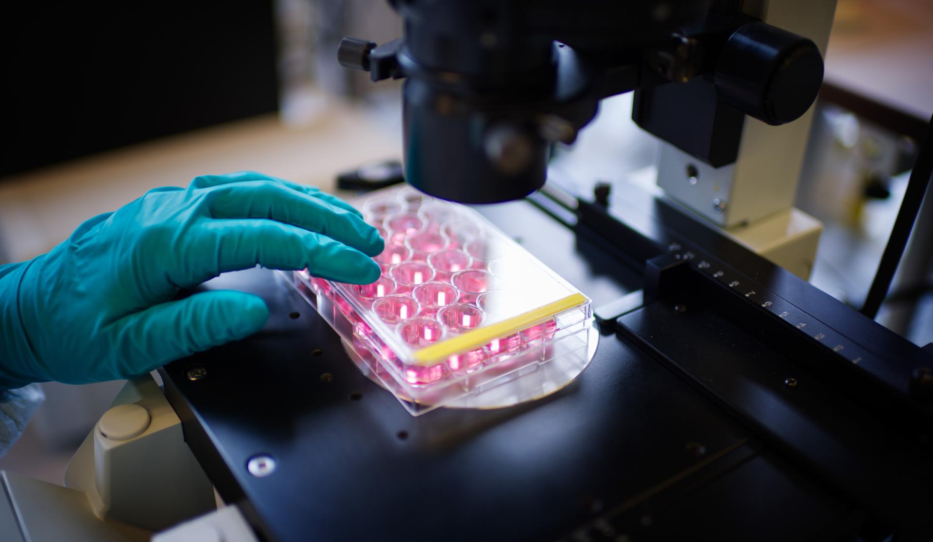 Research health