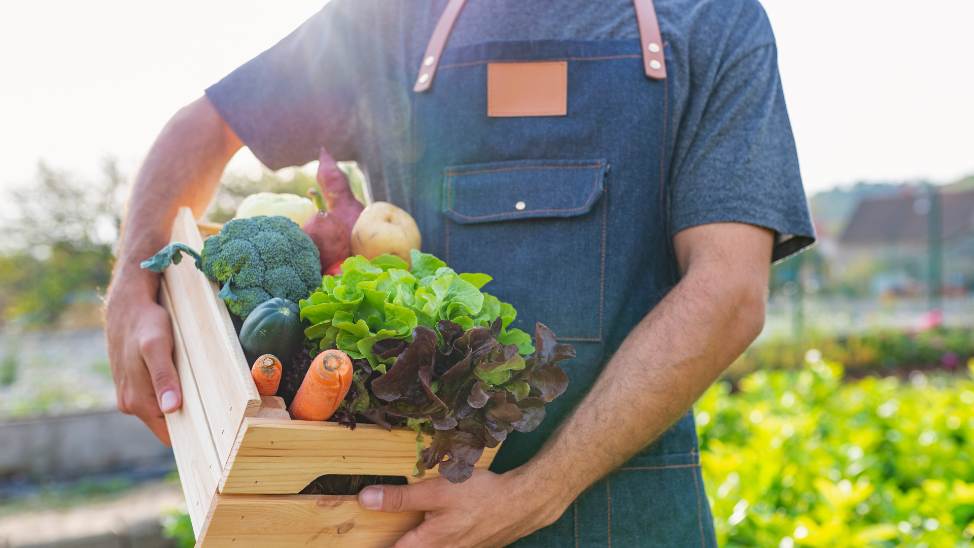 organic vegetables