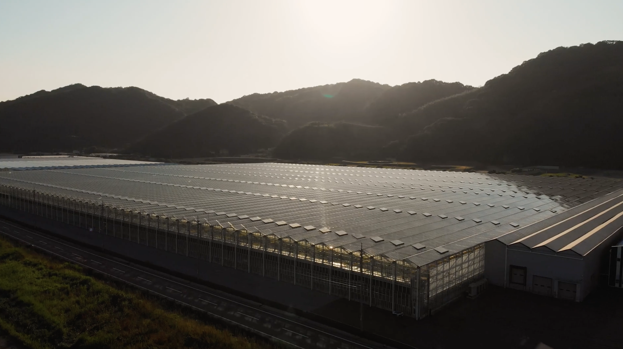 Japan greenhouse