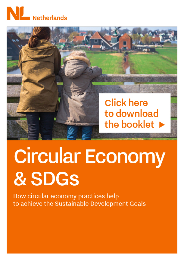 Circular economy and the SDGs cover