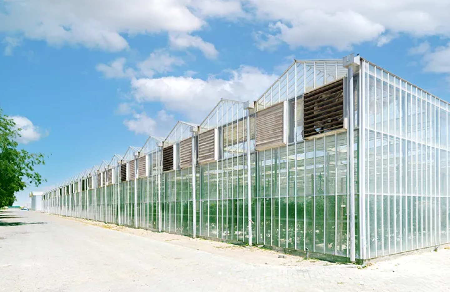  A blue sky and the outside facade of a large glass greenhouse 