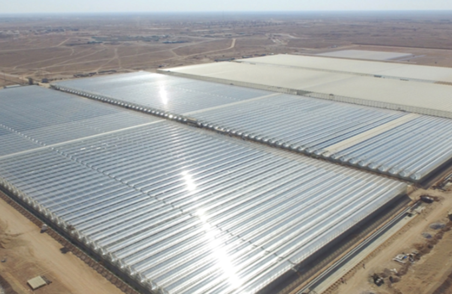 a large field of solar panels in the middle of desert land 