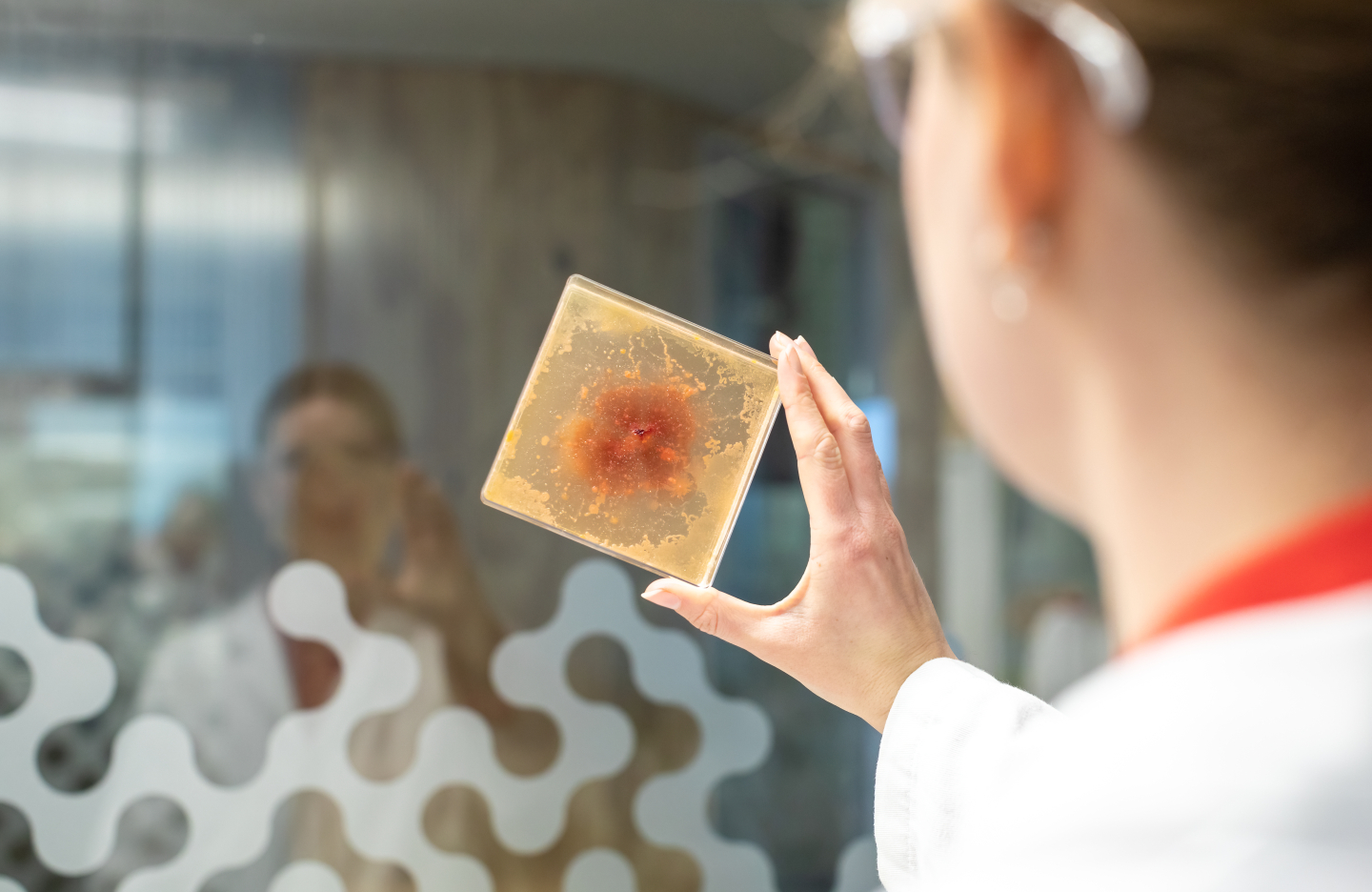 Jacqueline Fuijkschot