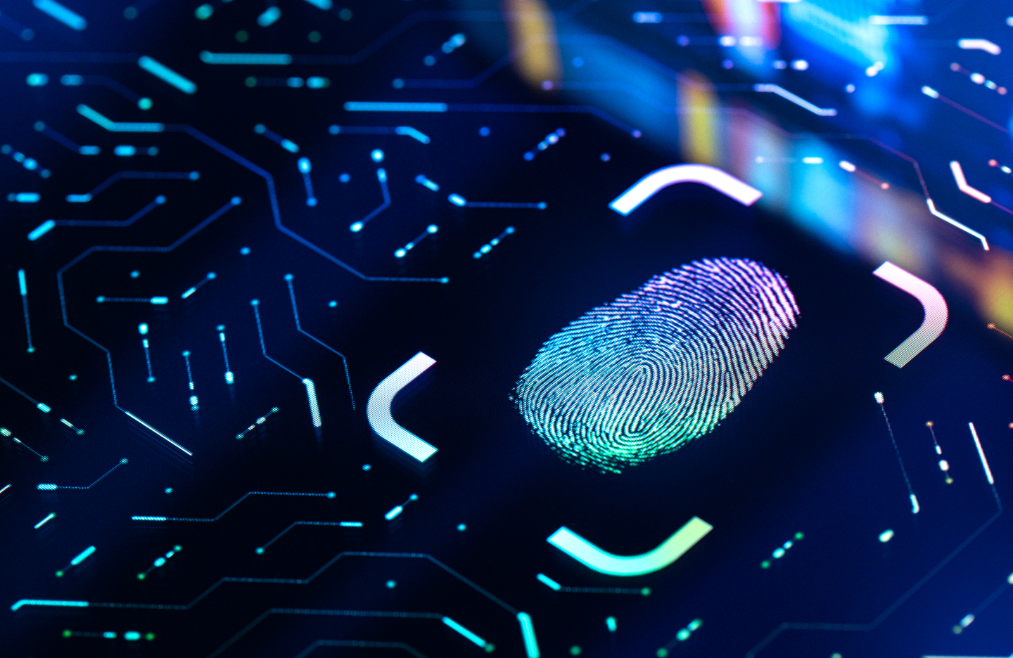 Digital fingerprint scan