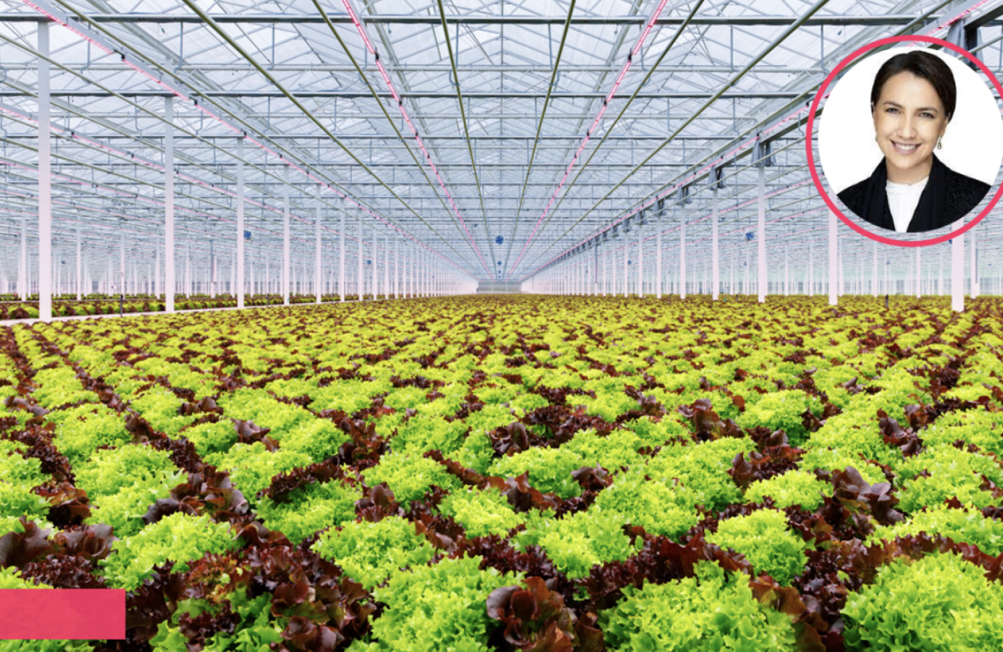 Greenhouse