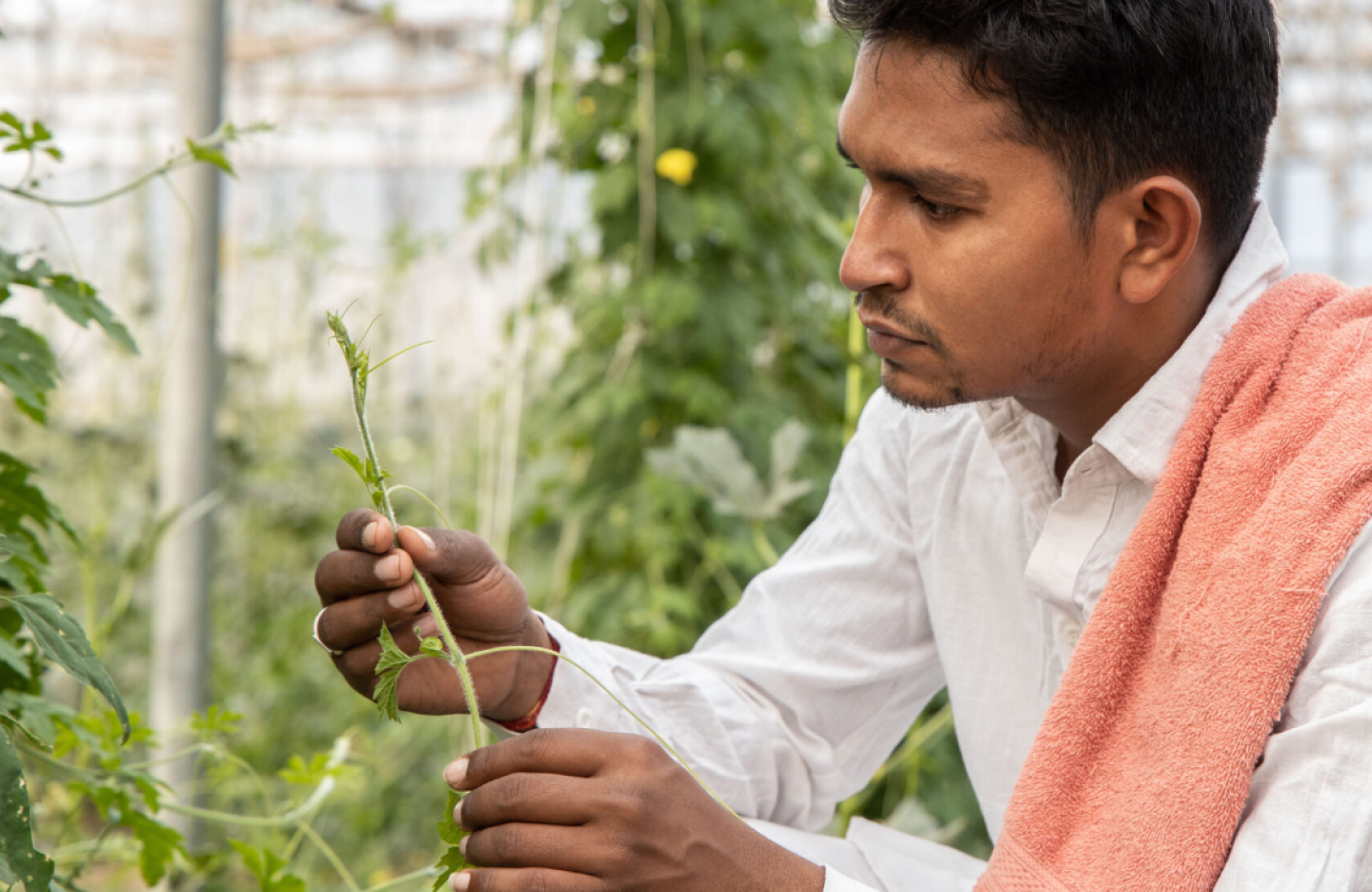 Man looking at vegetable