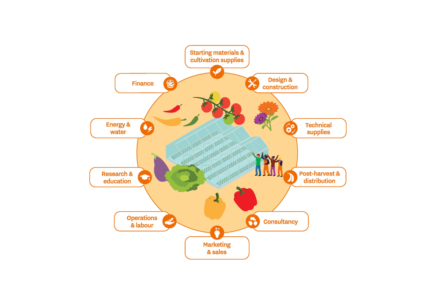 Greenhouse Ecosystem Illustration