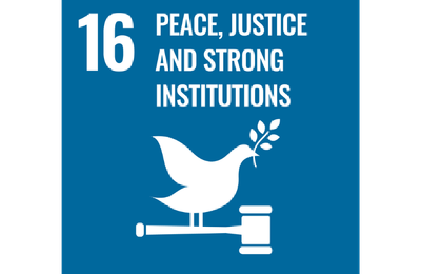 SDG 16