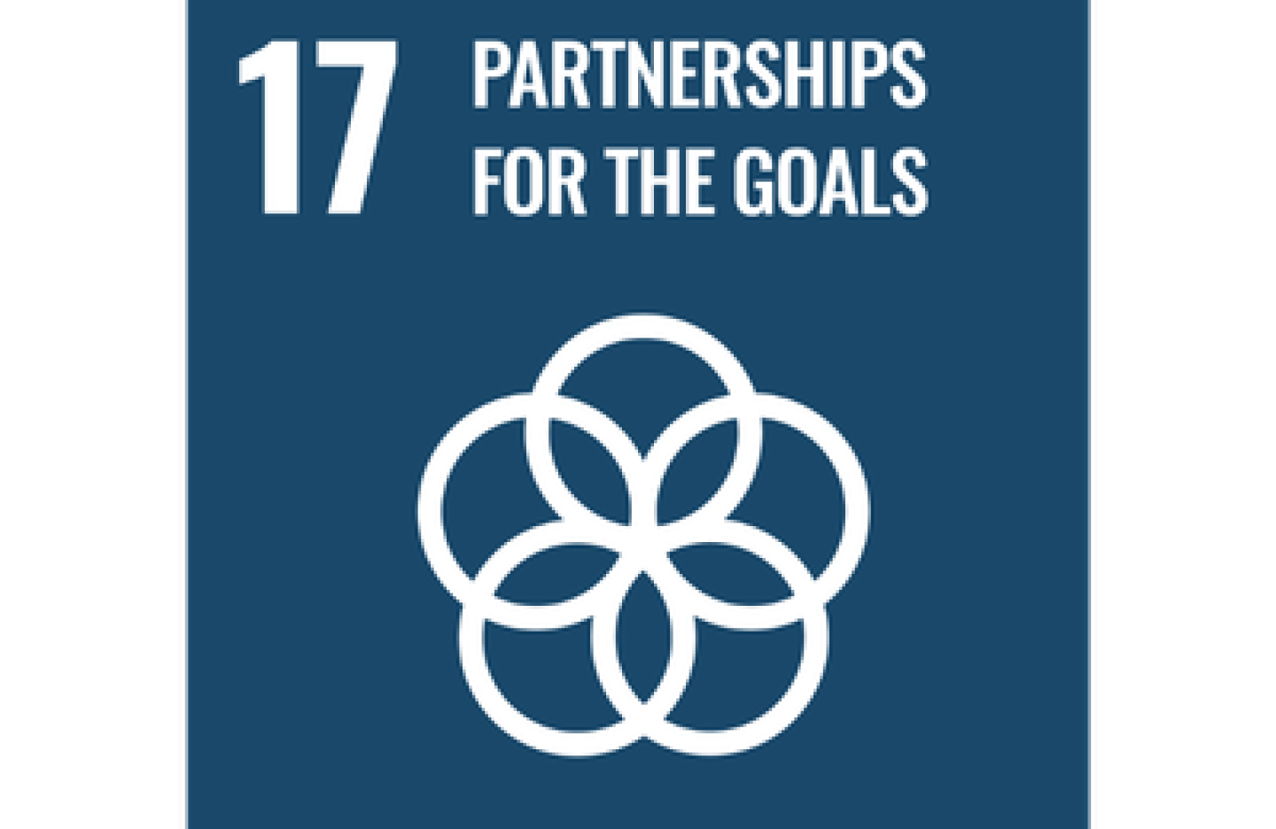 SDG 17