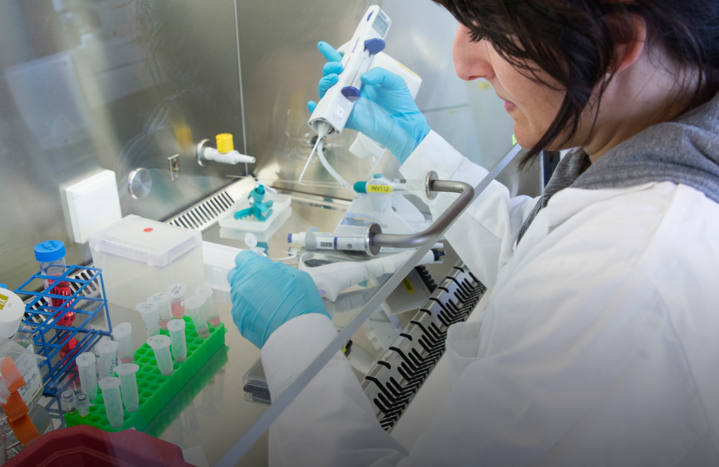 Person working under flow hood in lab