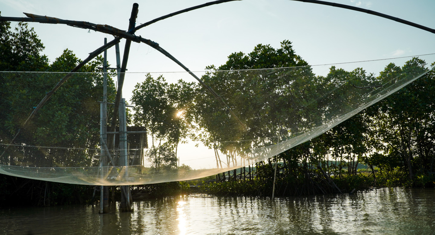 Sustainable fishing in mangrove forest in Indonesia