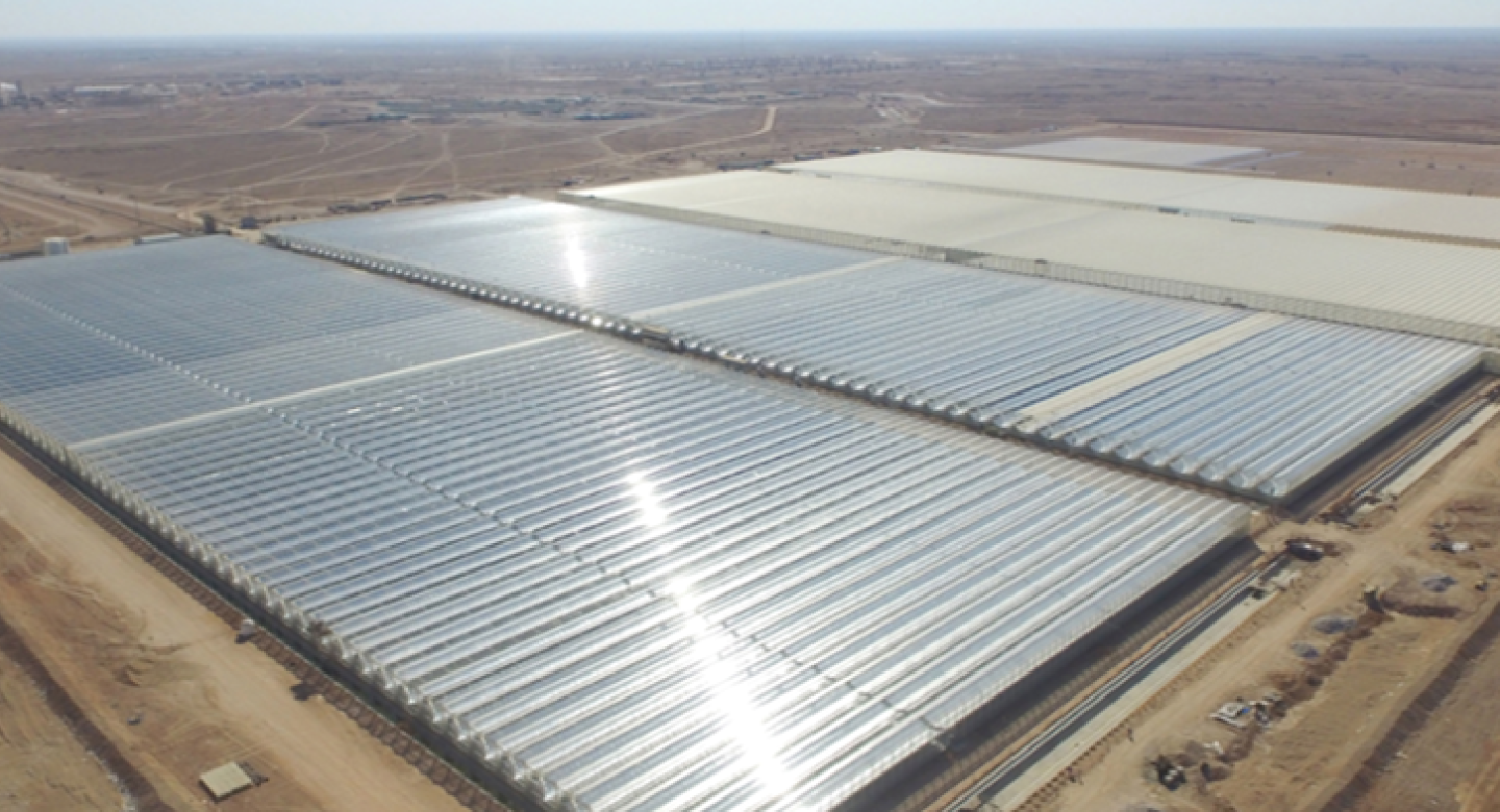 a large field of solar panels in the middle of desert land 