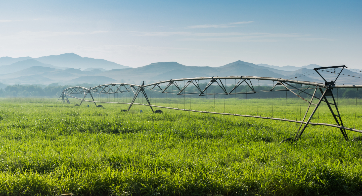 Cultivation land and nature of Saudi Arabia