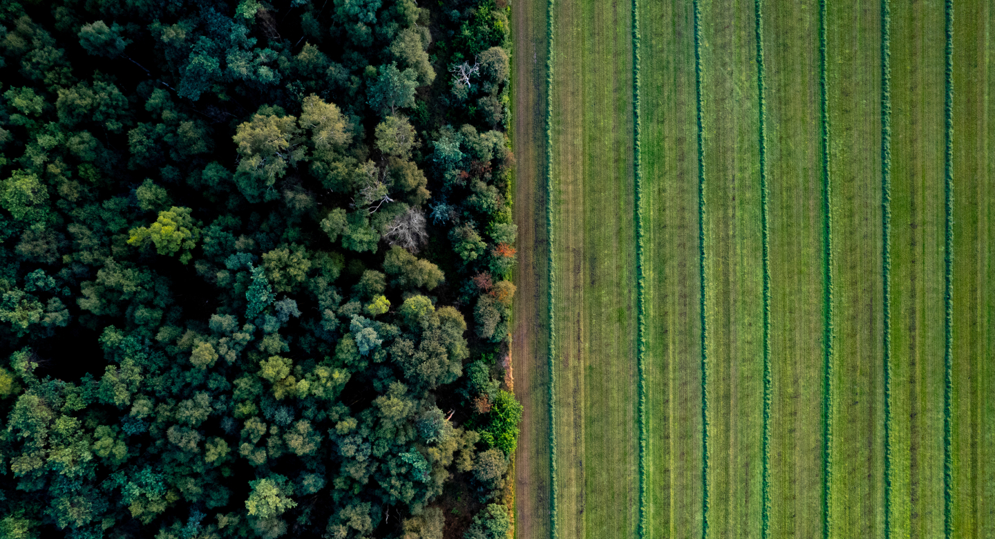 Image: aerial view of forest and farmland next to each other.
