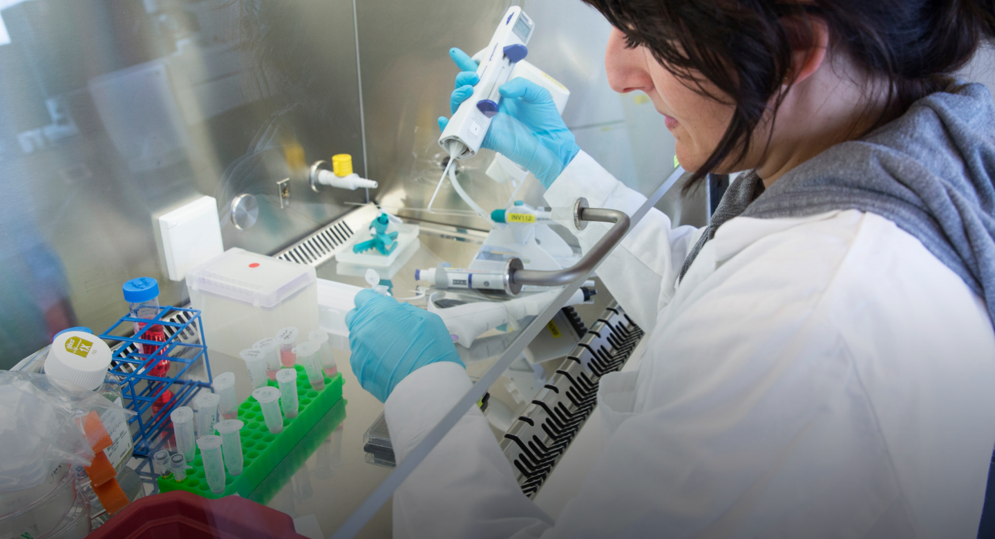 Person working under flow hood in lab
