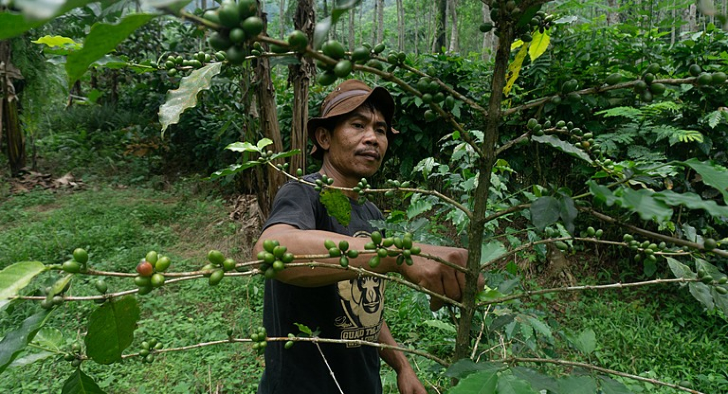Ranger patrolling forest on Java, Indonesia Photo: Dhana Kencana / Climate Visuals Countdown