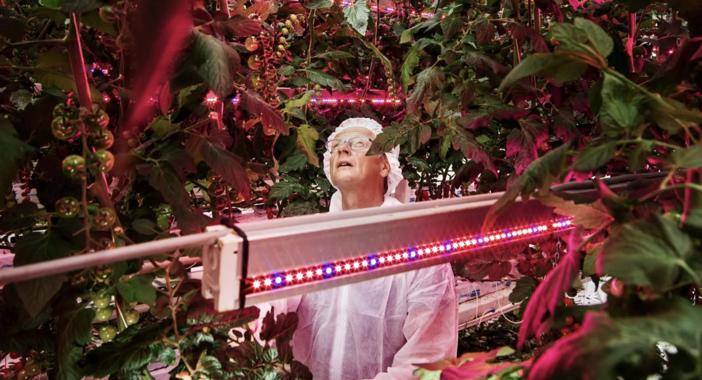 Growy Horticulture specialist
