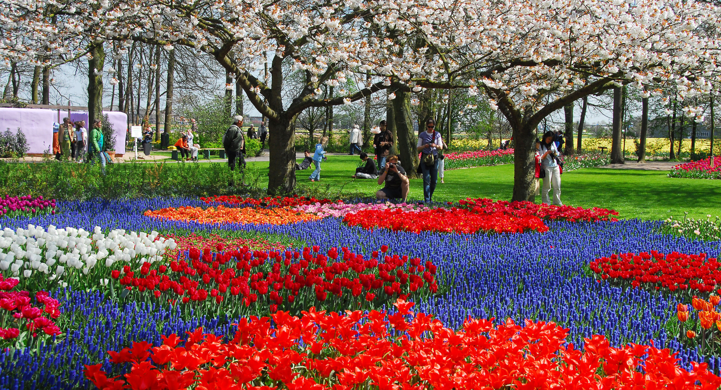 Keukenhof bulb garden