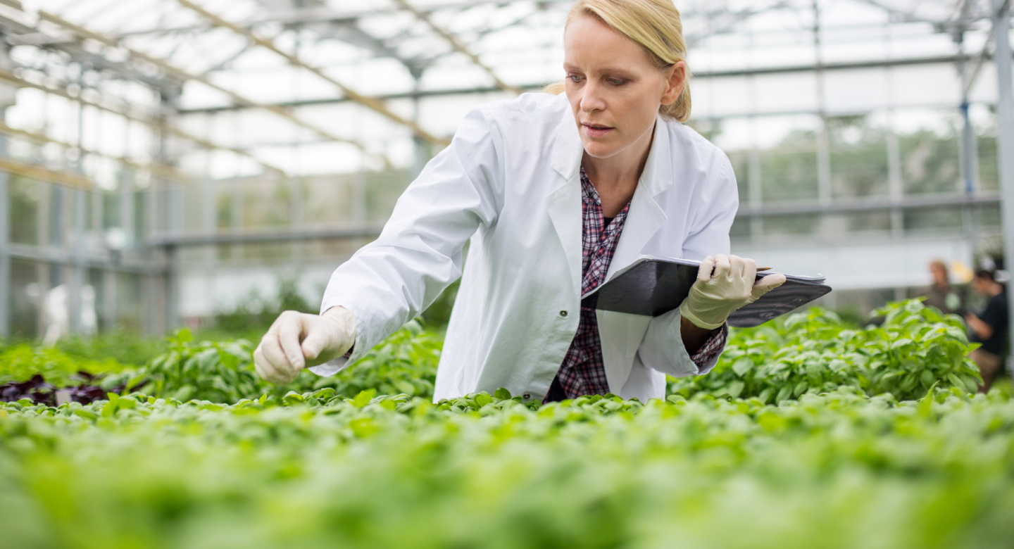 Woman checking plants