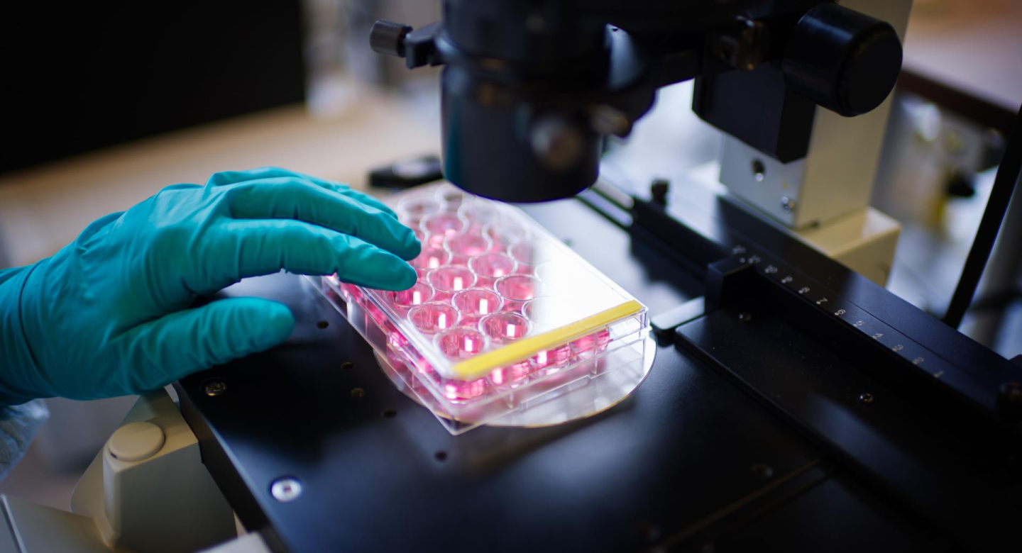 Research health