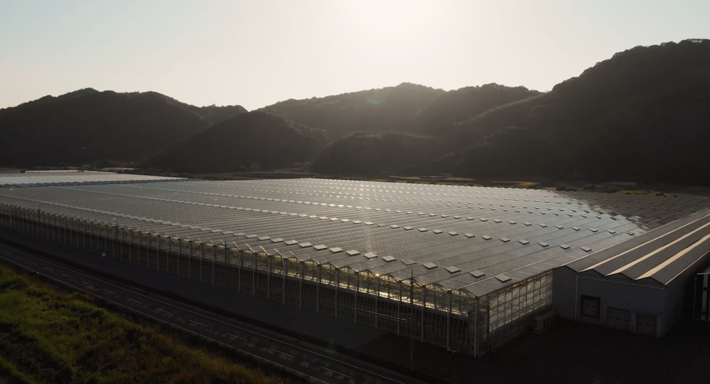Japan greenhouse
