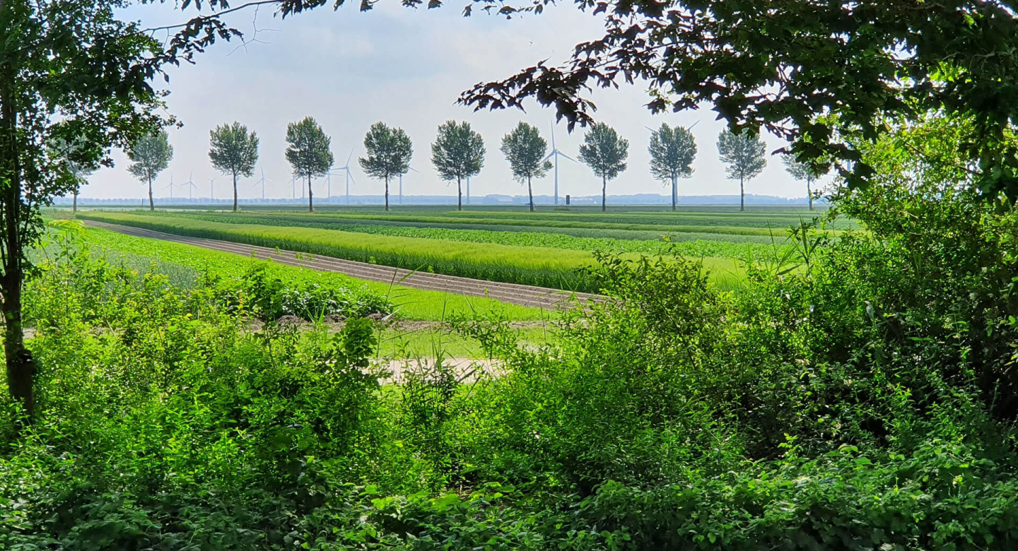 Farm of the future