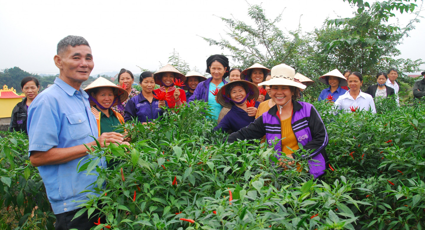 Farmers in Vietnam