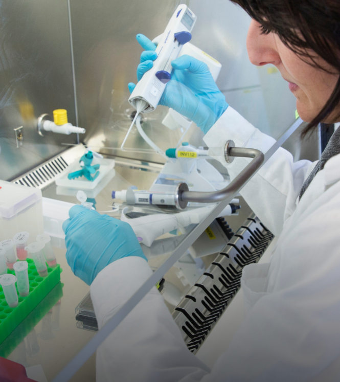 Person working under flow hood in lab