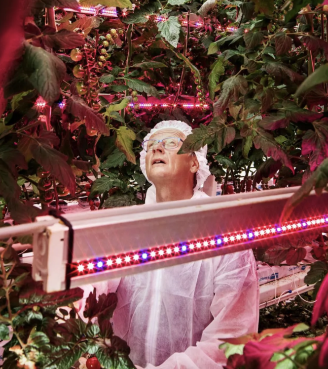 Growy Horticulture specialist