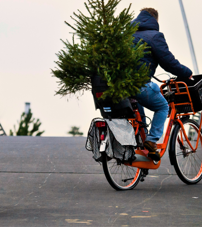 Man biking with christmas tree