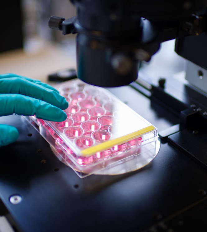 Research health