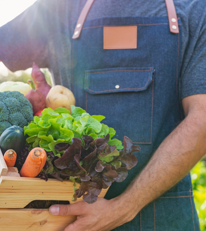 organic vegetables