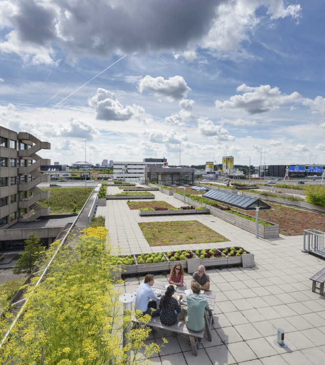 urban farm amsterdam