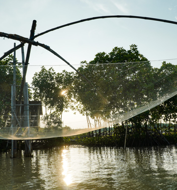 Sustainable fishing in mangrove forest in Indonesia