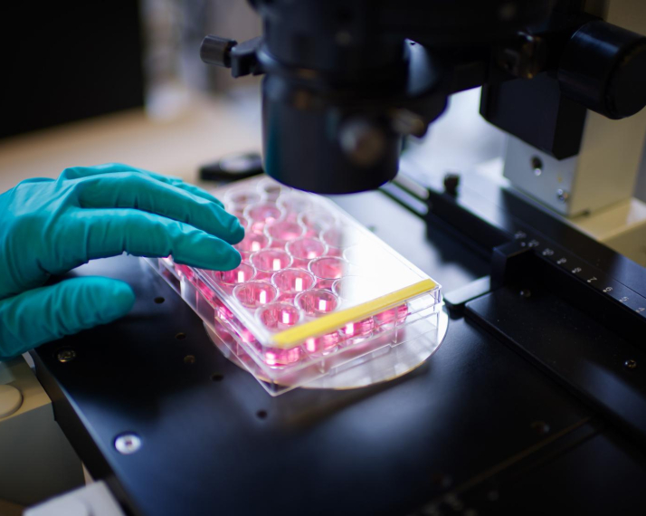 Research health