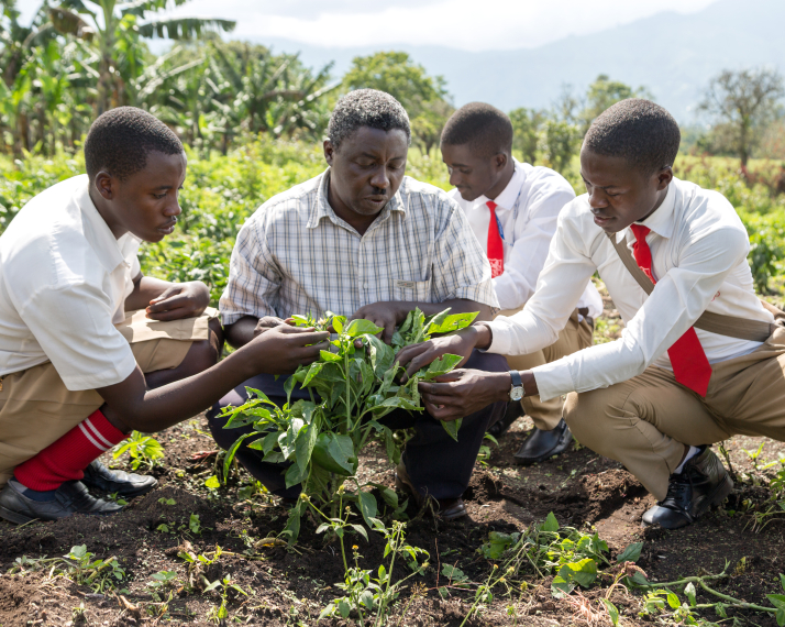 Training young farmers