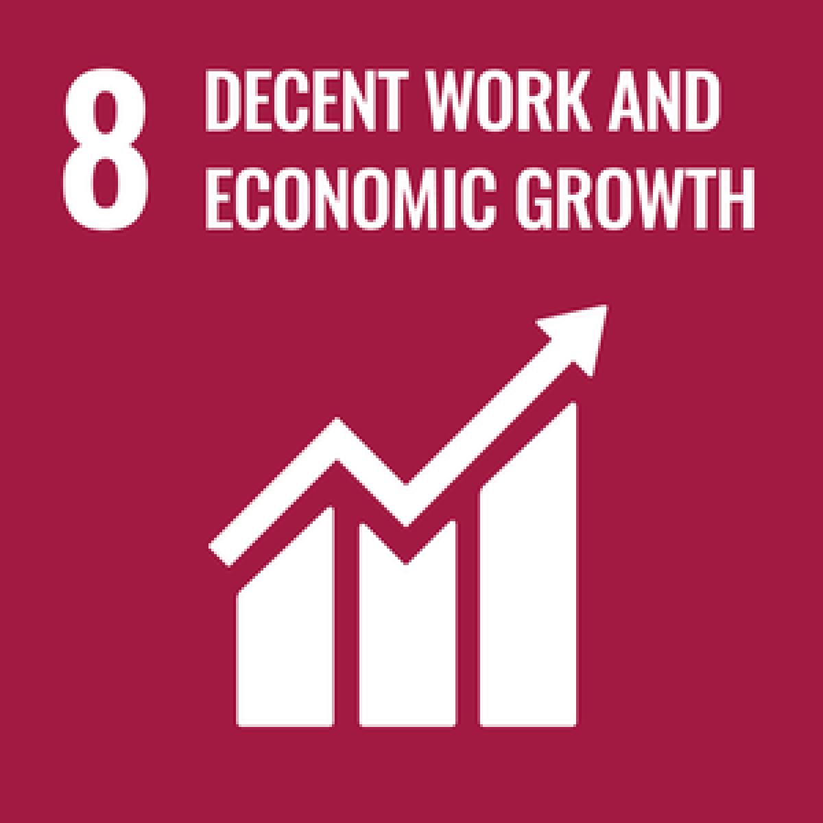 SDG 8 decent work and economic growth 