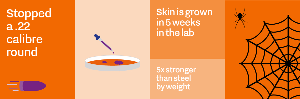 Infographic Jalila Essaidi