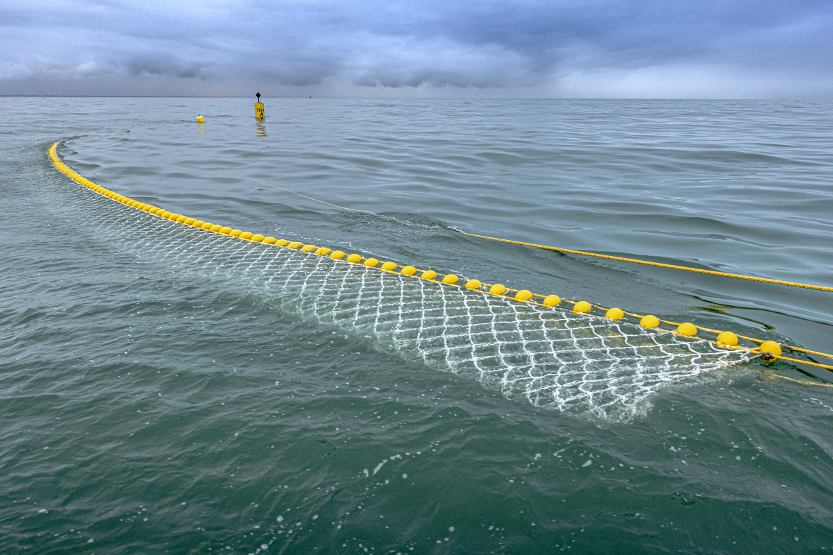 Europen Seaweed Association f1
