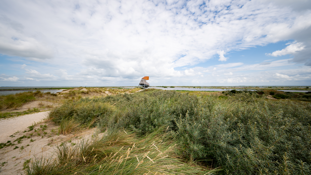 Marker Wadden 1