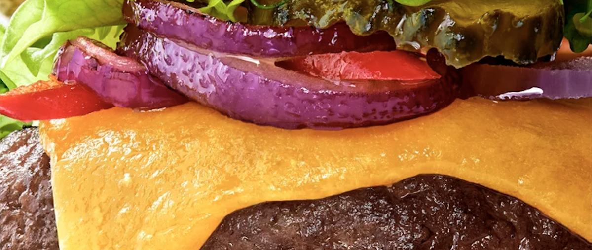 Mosa Meat tussenstuk tekst