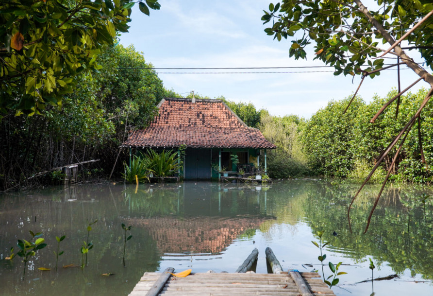 Loss of mangrove forests causes flooding - Demak, Indonesia Photo: FDW