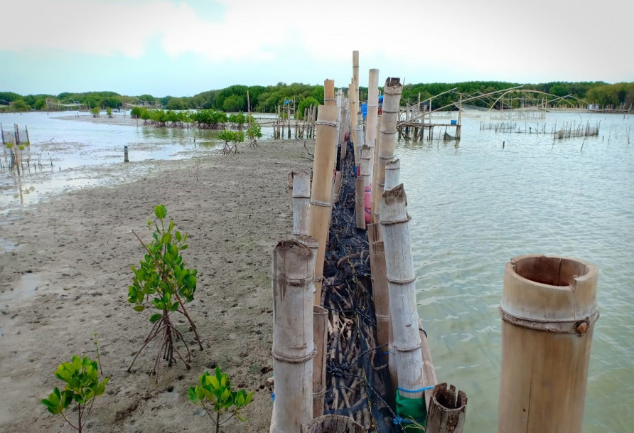 Permeable structure & sedimentation - Demak, Indonesia Photo: Kuswantoro via Wetlands International
