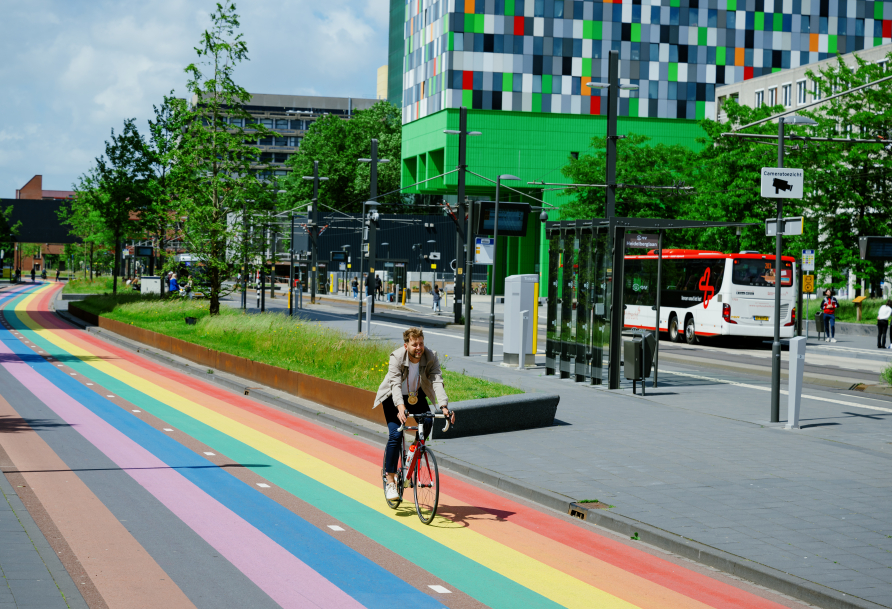 Cycling in the Netherlands