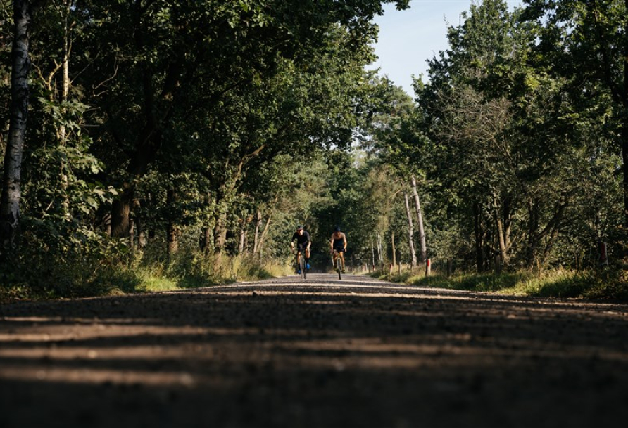 Cycling in the Netherlands